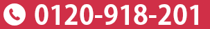 0120-918-201